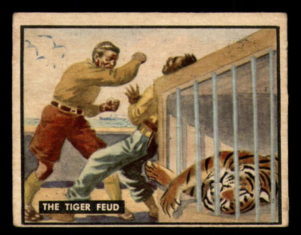 87 The Tigers Feud